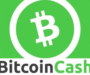 Bitcoin Cash; A Beginner's Guide. width=